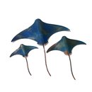 Set of 3 Stingrays