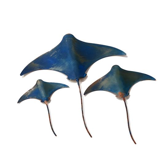 Set of 3 Stingrays