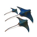 Set of 3 Stingrays