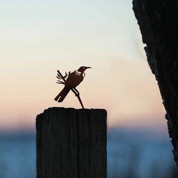 Metalbird Steel Mini Tui-artists-and-brands-The Vault