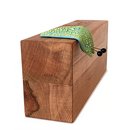 Fruity Shelf Slug Electric Kiwi