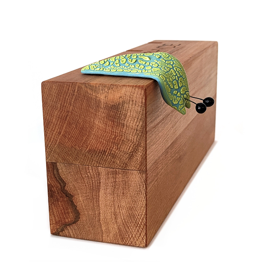Fruity Shelf Slug Electric Kiwi