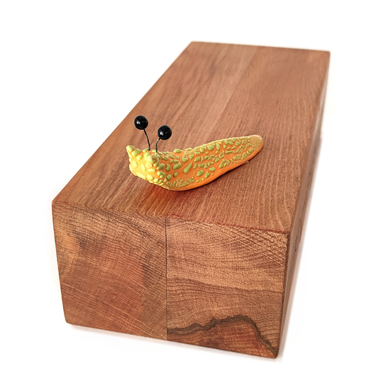 Fruity Flat Slug Mango Moon