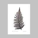 Silver Fern Linocut Print Black