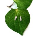 Awa Studs Small Rectangle