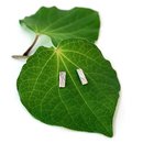 Awa Studs Small Rectangle
