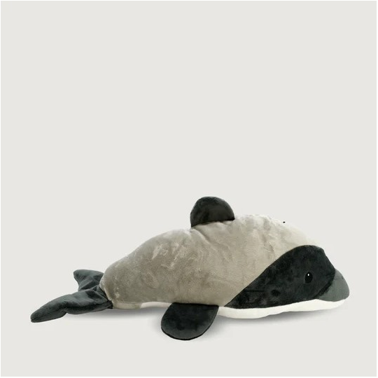 Hugo the Hector's Dolphin