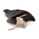 Gingko Leaf Brooch