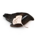 Gingko Leaf Brooch