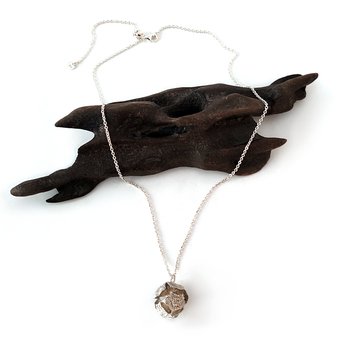 Macrocarpa Seed Pendant-jewellery-The Vault