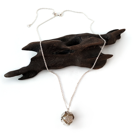 Macrocarpa Seed Pendant