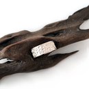 Craters Ring