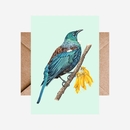 Card Tui