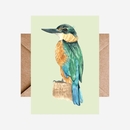 Card Kingfisher