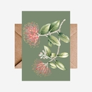 Card Pohutukawa