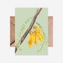 Card Kowhai