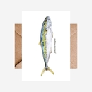 Card Kingfish Single