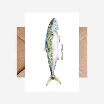 Card Kingfish Single-cards-The Vault
