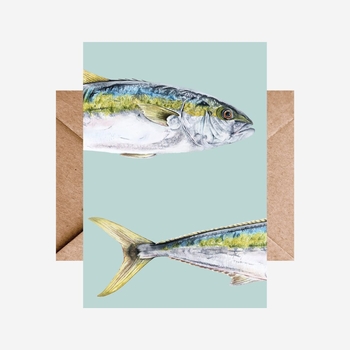 Card Kingfish Multi-cards-The Vault