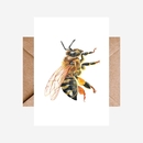 Card Bee