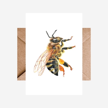 Card Bee-cards-The Vault