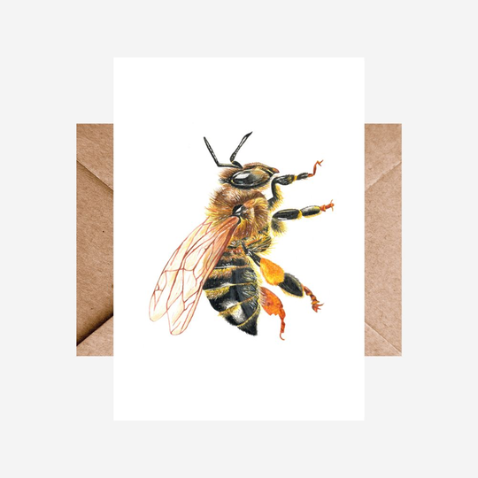 Card Bee