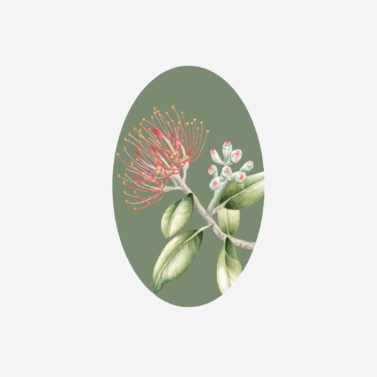 Gift Tag Pohutukawa