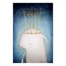 Nim and the Crown Limited Edition Fine Art Print