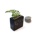 Medium Black Matariki Box Vase