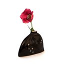 Triangle  Black Matariki Vase