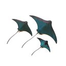 Set of 3 Stingrays