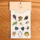 Sticker Sheet Friends from Aotearoa Chonky NZ Birds1