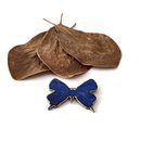 Butterfly Brooch Copper Brass Patina