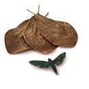 Butterfly Brooch Copper Brass Patina