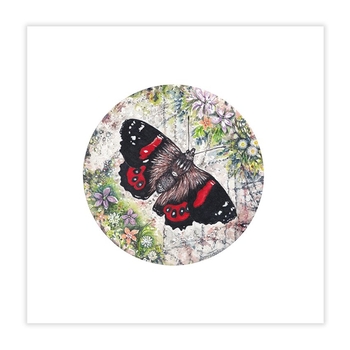 Red Admiral Butterfly A4 Plus-artists-and-brands-The Vault