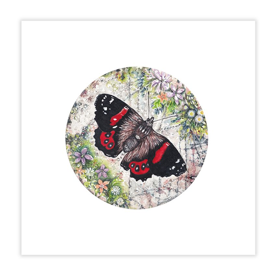 Red Admiral Butterfly A4 Plus