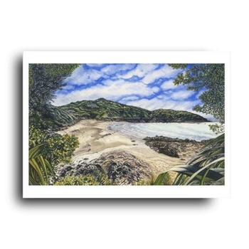 Emerging onto Houghton Bay A3 Print-artists-and-brands-The Vault