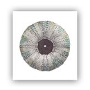 Kina Limited Edition Print A3 Square