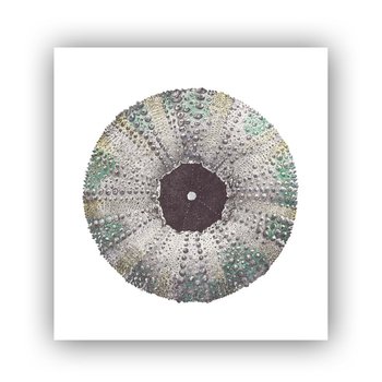Kina Limited Edition Print A3 Square-artists-and-brands-The Vault