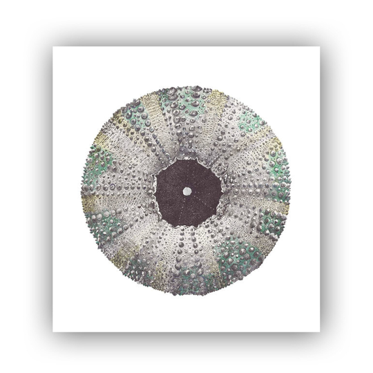 Kina Limited Edition Print A3 Square