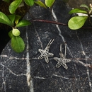 Korokio Earrings Siver