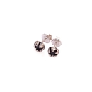 Red Manuka Pod Studs Garnet