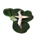 Gannet Brooch Silver