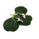 Flying Kereru Earrings Silver