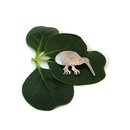 Kiwi Brooch Silver