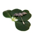 Pekapeka Bat Stick Pin Silver