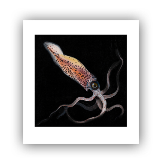 Phantom Limited Edition Print A4 Square