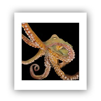 Unfolding Limited Edition Print A3 Square-artists-and-brands-The Vault