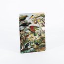 NZ Native Birds Notebook