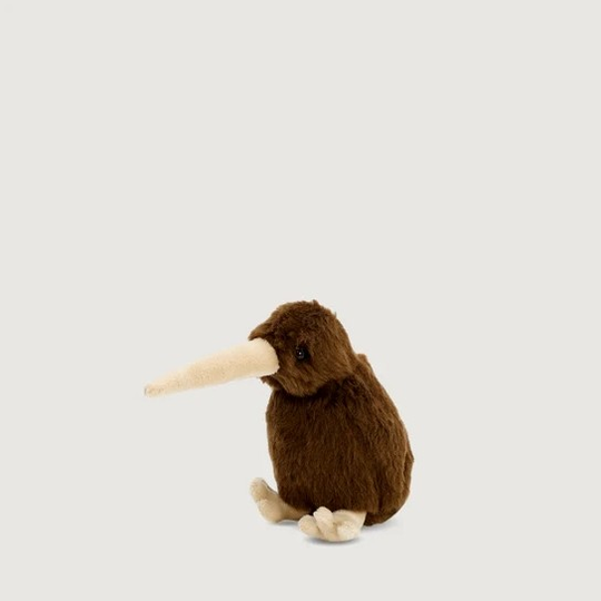 Barry the Brown Kiwi